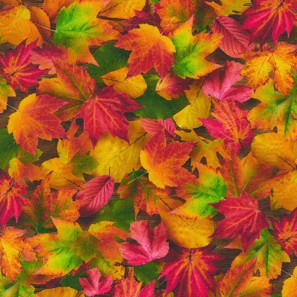 Telas Magomar-Patch Patchwork Paisaje - colección Imaginings - motivo hojas otoño - RobertKaufman 100% Algodón Ref.MP20910-268
