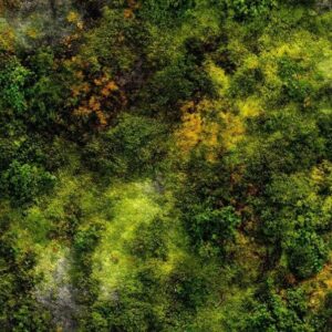 Magomar Patch Patchwork Tela musgo colección Naturaleza Ref.MP67547